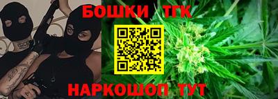 гидра Кингисепп