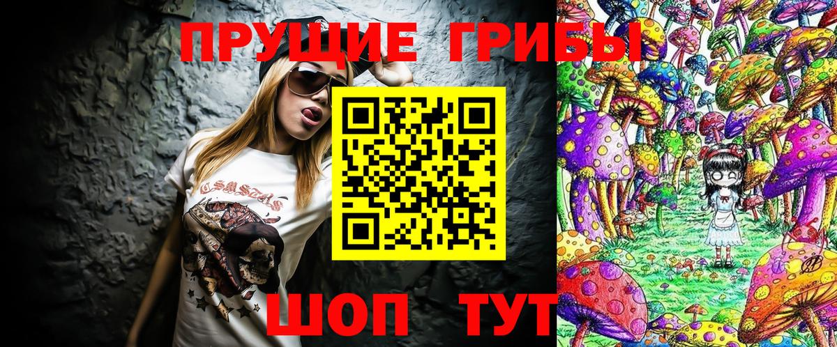 Галлюциногенные грибы мицелий  цена наркотик  Элиста  Вход с VPN 